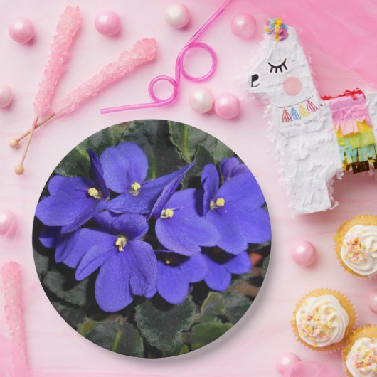 Königsblau-Usambaraveilchen Pappteller (Party)