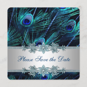 Königsblauer und silberner Pfau - Save-the-Date Save The Date