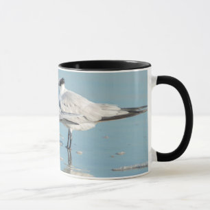Königseeschwalben am Strand Tasse