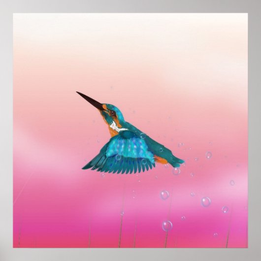 Königsfisch Bird Poster (Vorne)
