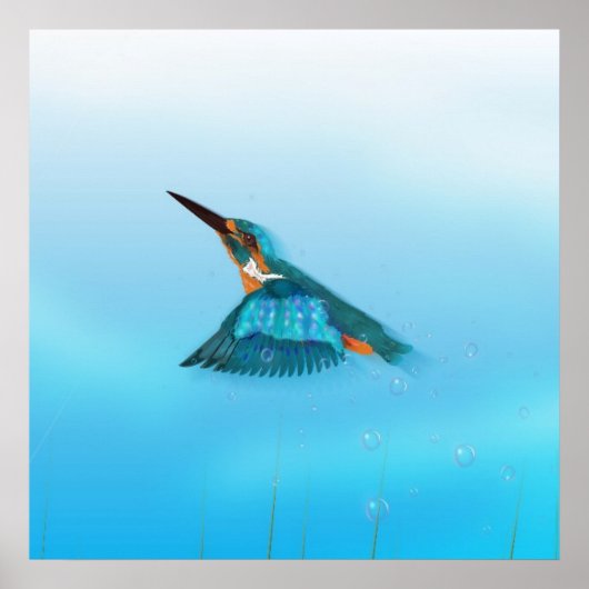 Königsfisch Bird Poster (Vorne)
