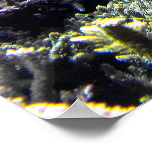 Königsfisch Poster (Ecke)