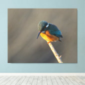 Königsfischer Leinwanddruck (Insitu (Holzboden))