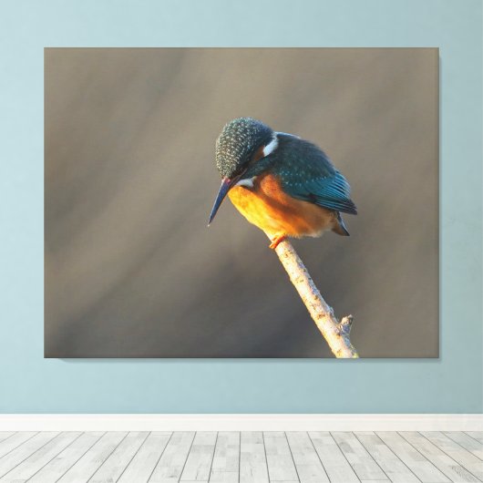 Königsfischer Leinwanddruck (Insitu (Holzboden))