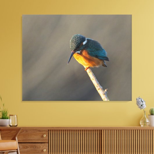 Königsfischer Leinwanddruck (Insitu (Wohnzimmer))