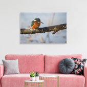 Königsfischer Leinwanddruck (Insitu (Wohnzimmer))