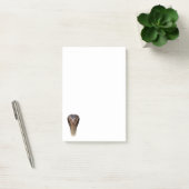 Königskobra Post-it Klebezettel (Büro)
