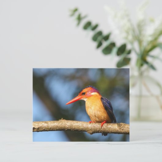 Königspalast Postkarte (Stehend Vorderseite)