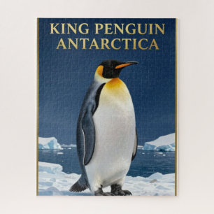 🐧 Königspinguin Antarktika Wildtiere Puzzle