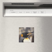 Königspinguin (Aptenodytes patagonicus) Magnet (In Situ (Geschirrspüler))