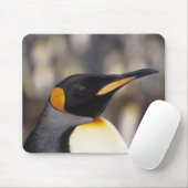 Königspinguin (Aptenodytes patagonicus) Mousepad (Mit Mouse)