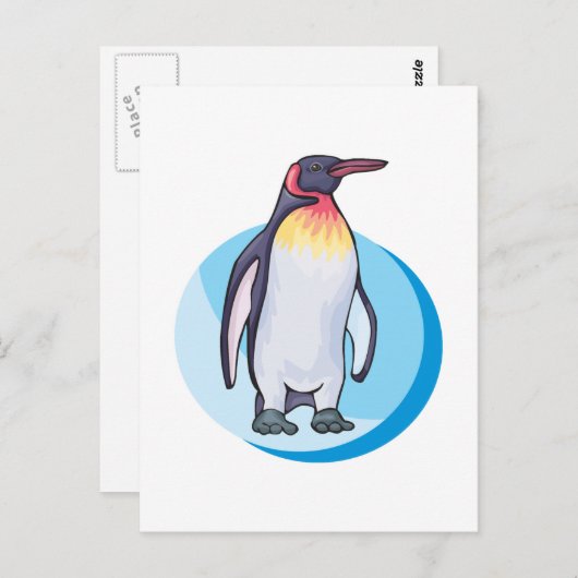 Königspinguin Postkarte (Vorne/Hinten)