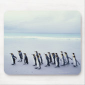 Königspinguine (Aptenodytes patagonicus) Mousepad (Vorne)