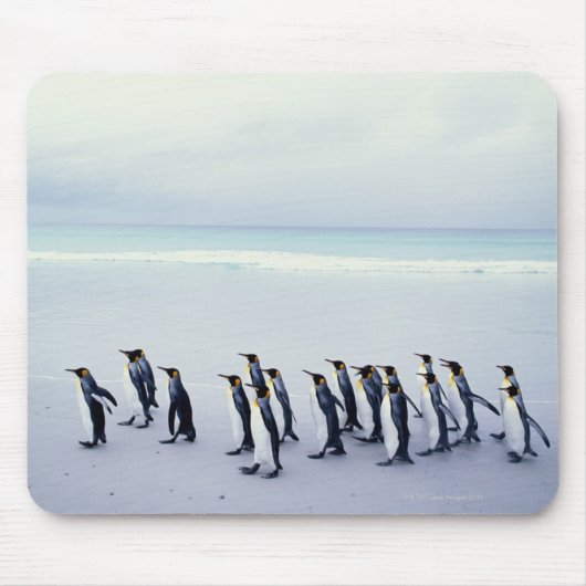 Königspinguine (Aptenodytes patagonicus) Mousepad (Vorne)