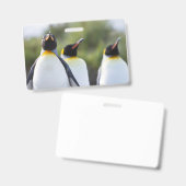 Königspinguine Ausweis (Vorder- & Rückseite)