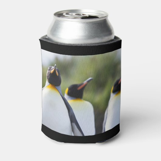 Königspinguine Dosenkühler (Kanne Rückseite)