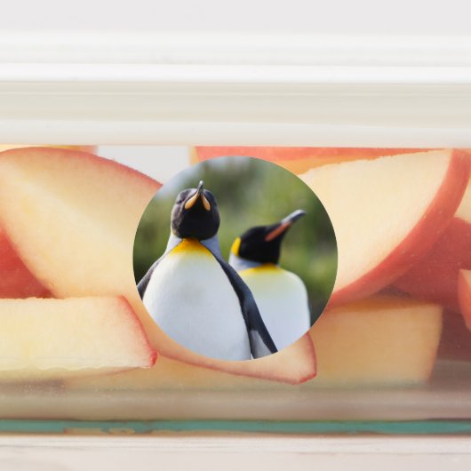 Königspinguine Etiketten (Befestigt)