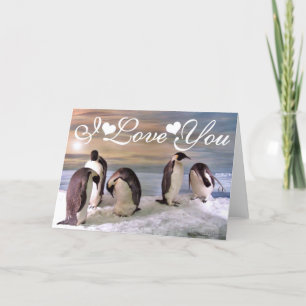 Königspinguine Foto Bild Ich liebe dich Karte