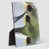 Königspinguine Fotoplatte (Seite)
