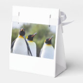 Königspinguine Geschenkschachtel (Rückseite)