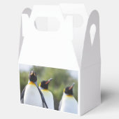 Königspinguine Geschenkschachtel (Geöffnet)
