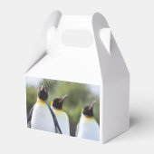 Königspinguine Geschenkschachtel (Vorderseite)