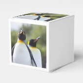 Königspinguine Geschenkschachtel (Vorderseite)