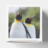 Königspinguine Geschenkschachtel (Oben)