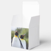 Königspinguine Geschenkschachtel (Geöffnet)