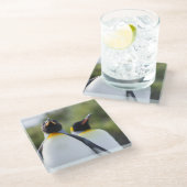 Königspinguine Glasuntersetzer (Schrägansicht)