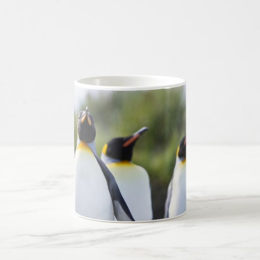 Königspinguine Kaffeetasse (Mittel)