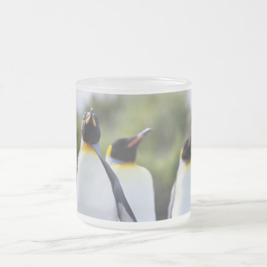 Königspinguine Mattglastasse (Mittel)