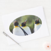 Königspinguine Ovaler Aufkleber (Umschlag)
