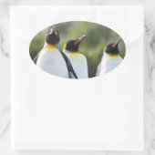 Königspinguine Ovaler Aufkleber (Tasche)