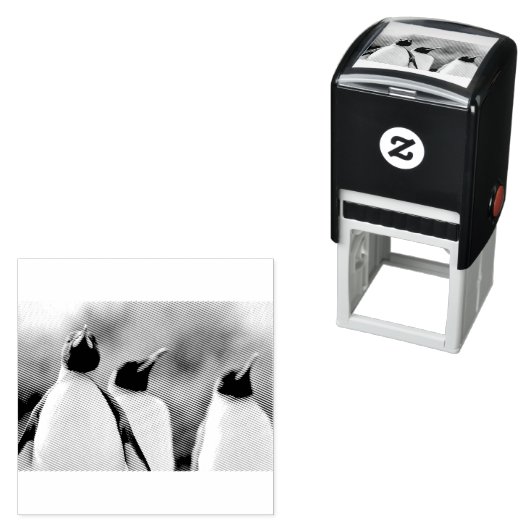 Königspinguine Permastempel (Beispiel)