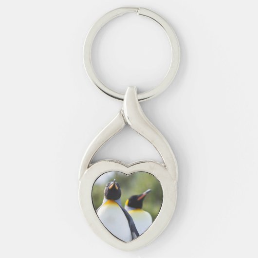Königspinguine Schlüsselanhänger (Vorderseite)