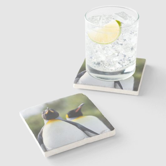 Königspinguine Steinuntersetzer (Seitenansicht)