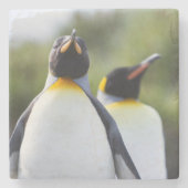 Königspinguine Steinuntersetzer (Vorderseite)