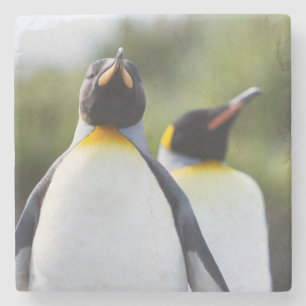 Königspinguine Steinuntersetzer