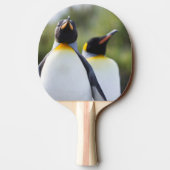 Königspinguine Tischtennis Schläger (Rückseite)