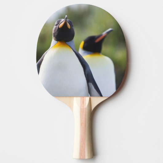 Königspinguine Tischtennis Schläger (Vorderseite)
