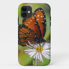 Königsschmetterling auf Blume iPhone 11 Hülle