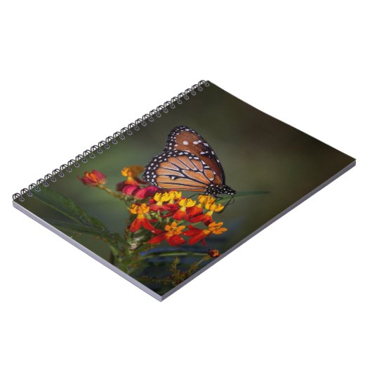 Königsschmetterling auf tropischen Milchkraut Notizblock (Linke Seite)