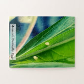 Königsschmetterling-Eier 30 Stück Puzzle (Horizontal)