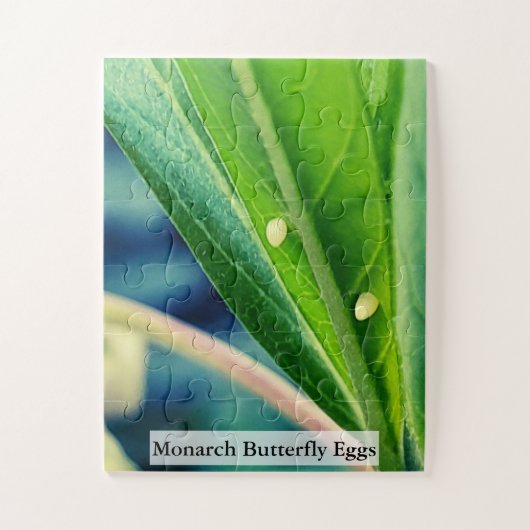 Königsschmetterling-Eier 30 Stück Puzzle (Vertikal)