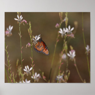 Königsschmetterling und Milchkweh Poster