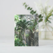 Königstreppe Postkarte (Stehend Vorderseite)