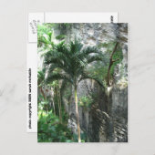 Königstreppe Postkarte (Vorne/Hinten)