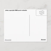 Königstreppe Postkarte (Rückseite)