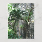 Königstreppe Postkarte (Vorderseite)